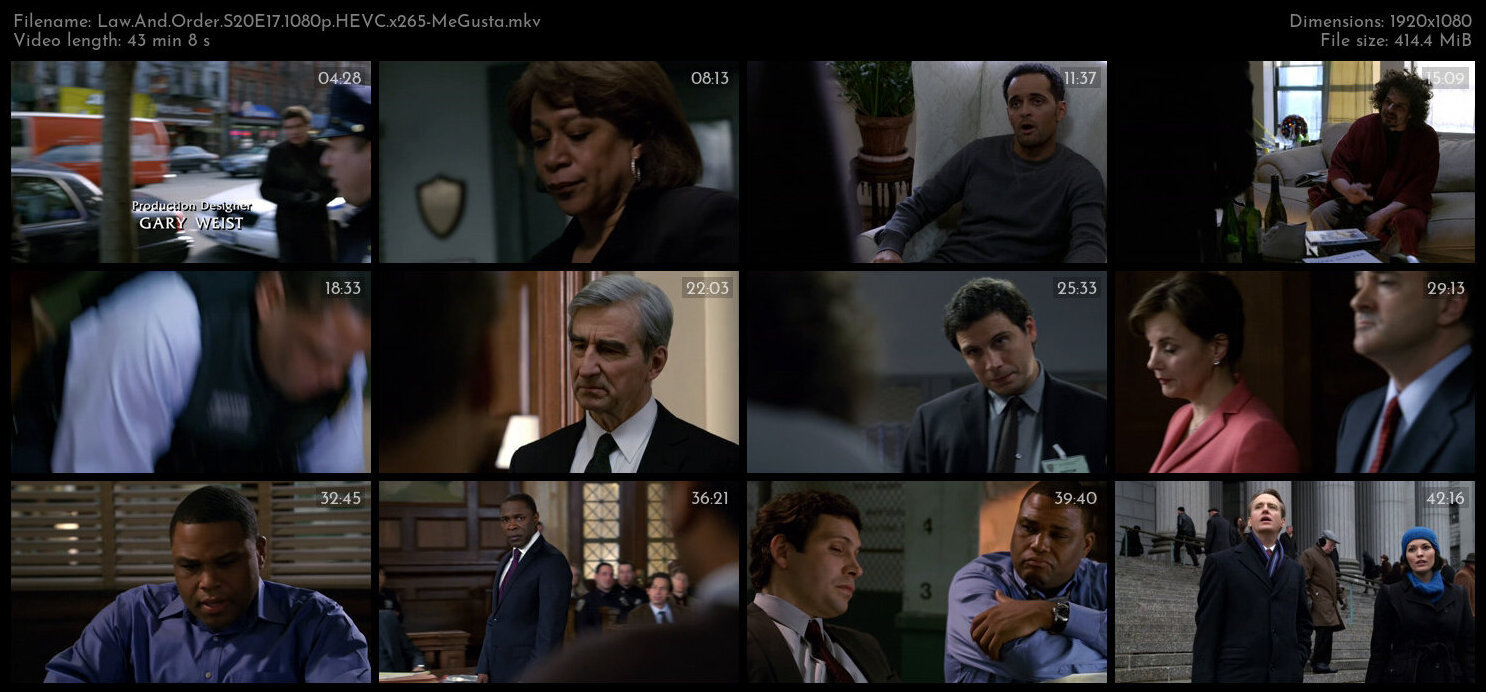 Law And Order S20E17 1080p HEVC x265 MeGusta TGx