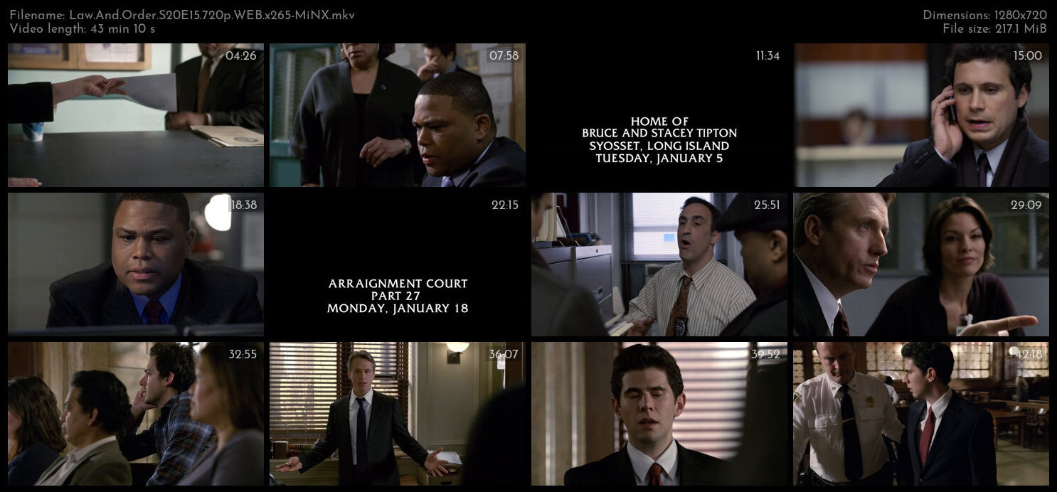 Law And Order S20E15 720p WEB x265 MiNX TGx