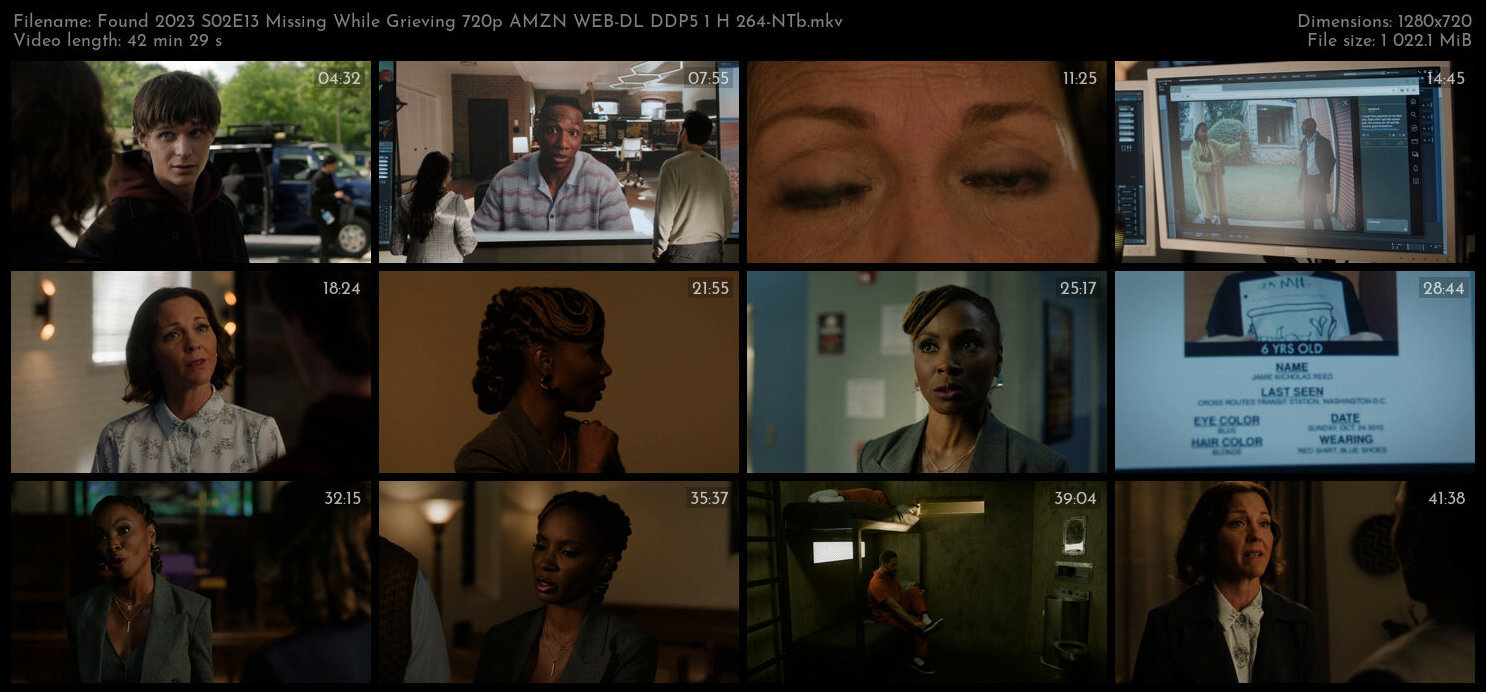 Found 2023 S02E13 Missing While Grieving 720p AMZN WEB DL DDP5 1 H 264 NTb TGx