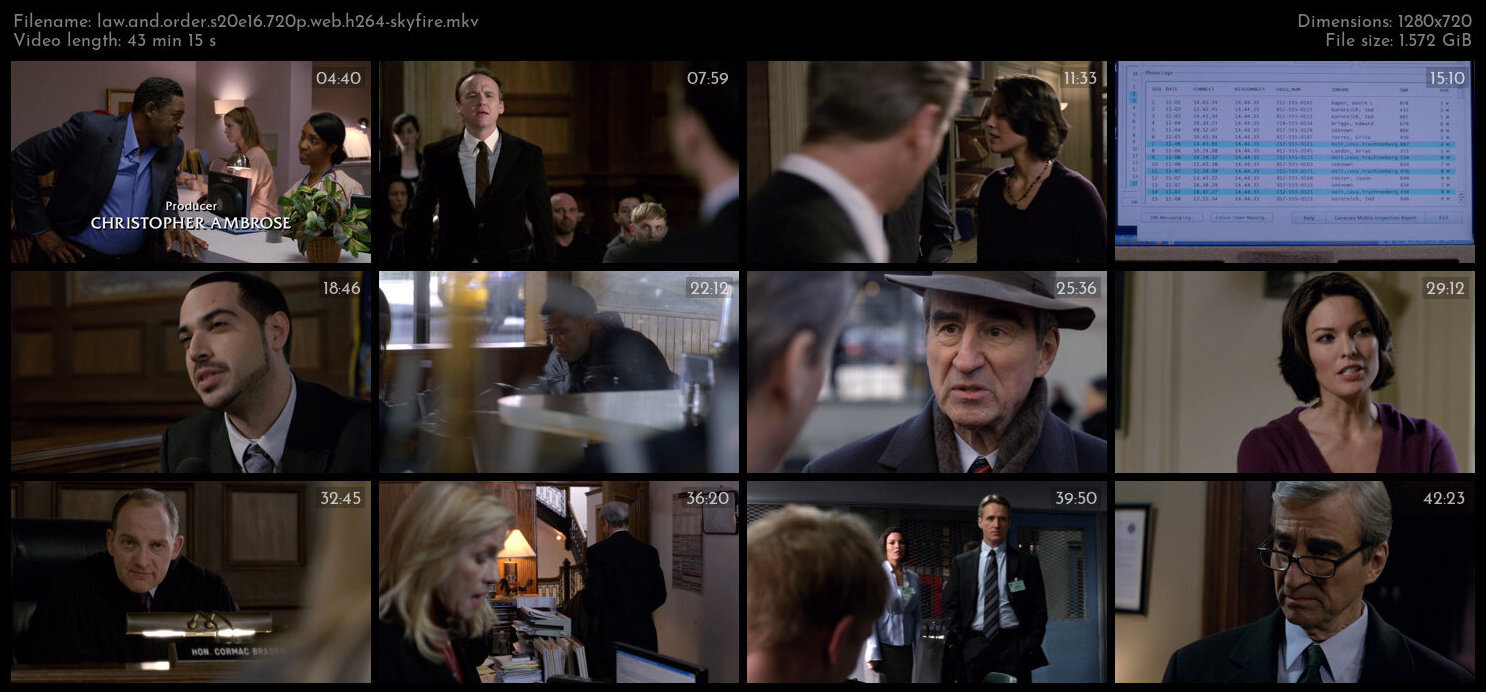 Law And Order S20E16 720p WEB H264 SKYFiRE TGx