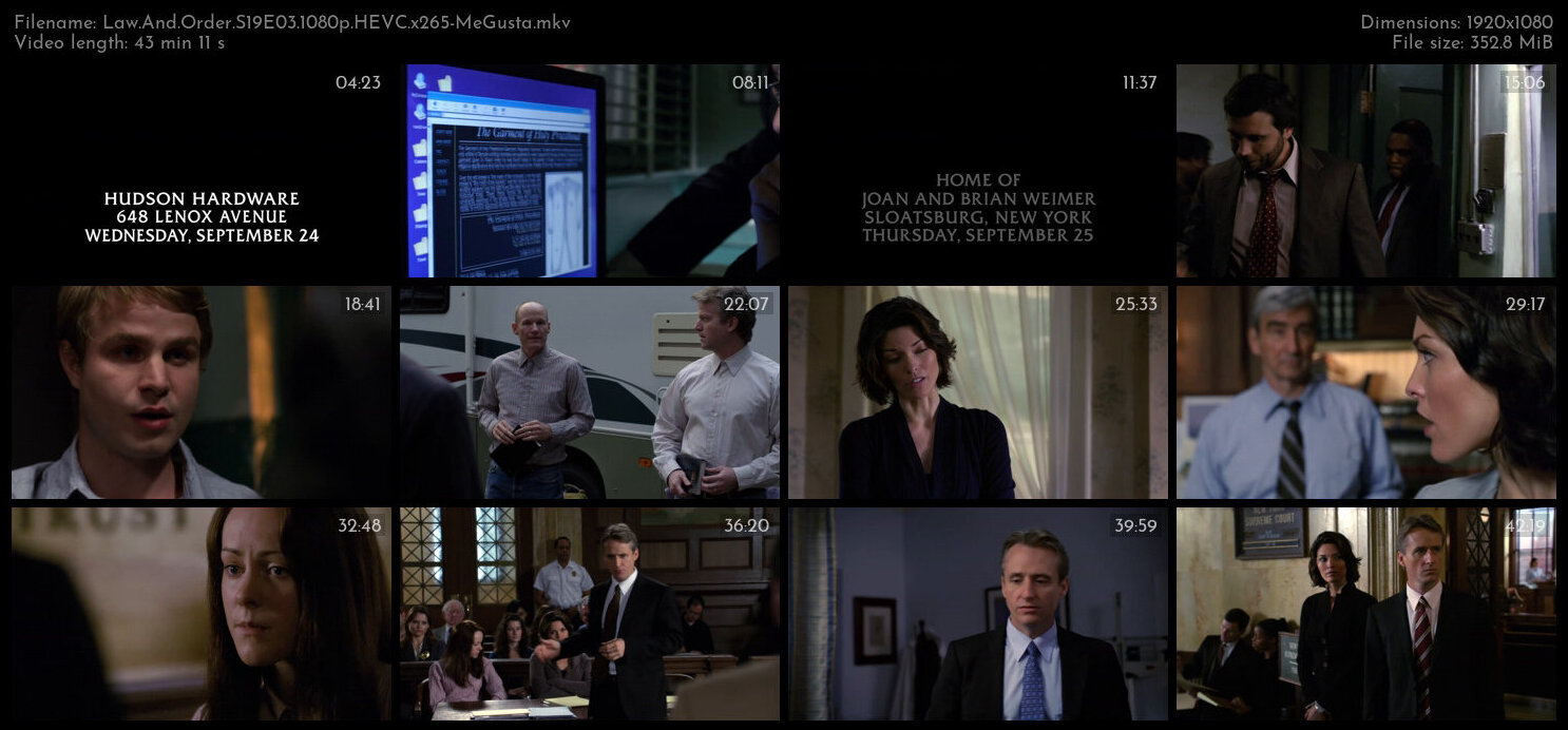 Law And Order S19E03 1080p HEVC x265 MeGusta TGx