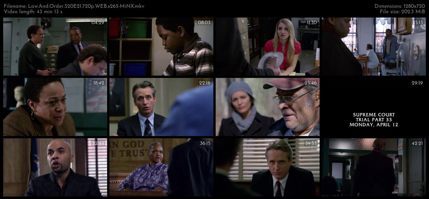 Law And Order S20E21 720p WEB x265 MiNX TGx