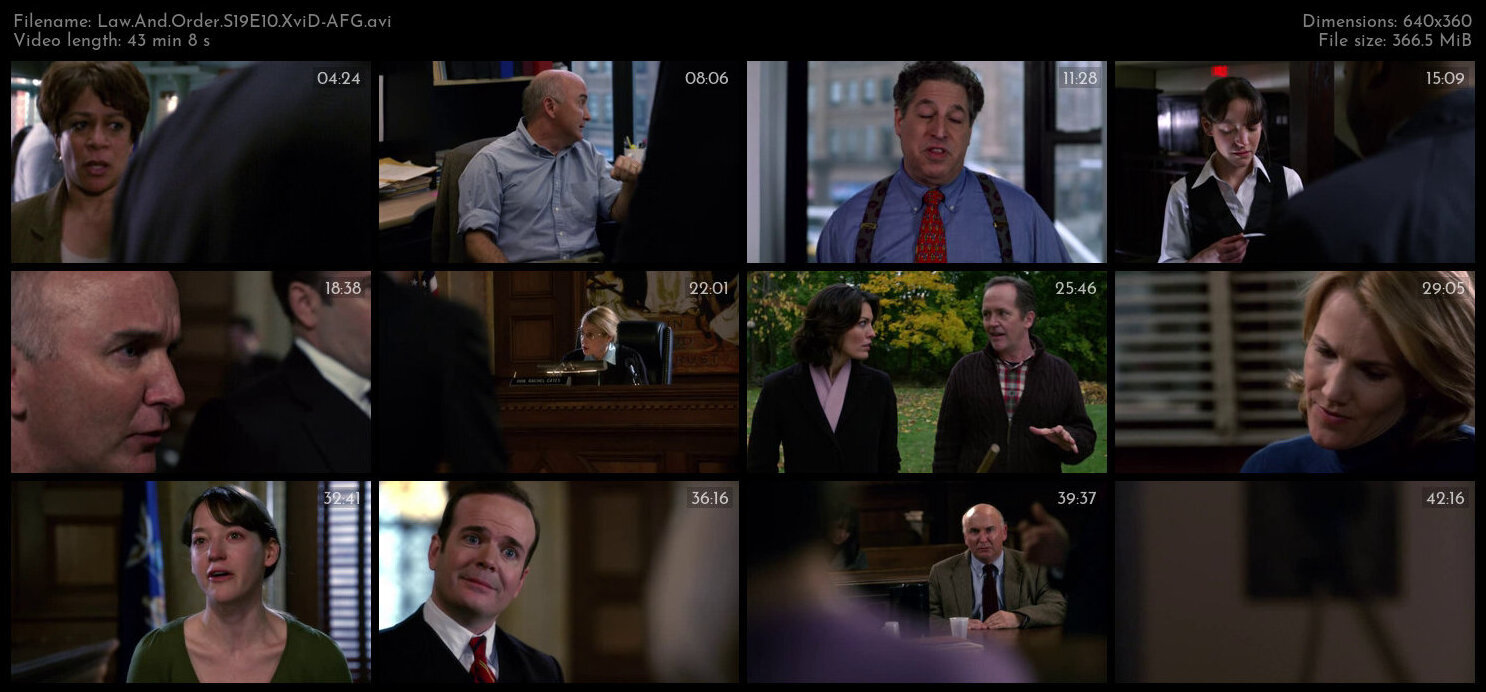 Law And Order S19E10 XviD AFG TGx