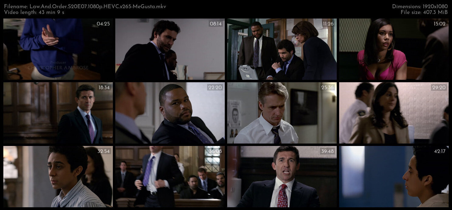 Law And Order S20E07 1080p HEVC x265 MeGusta TGx