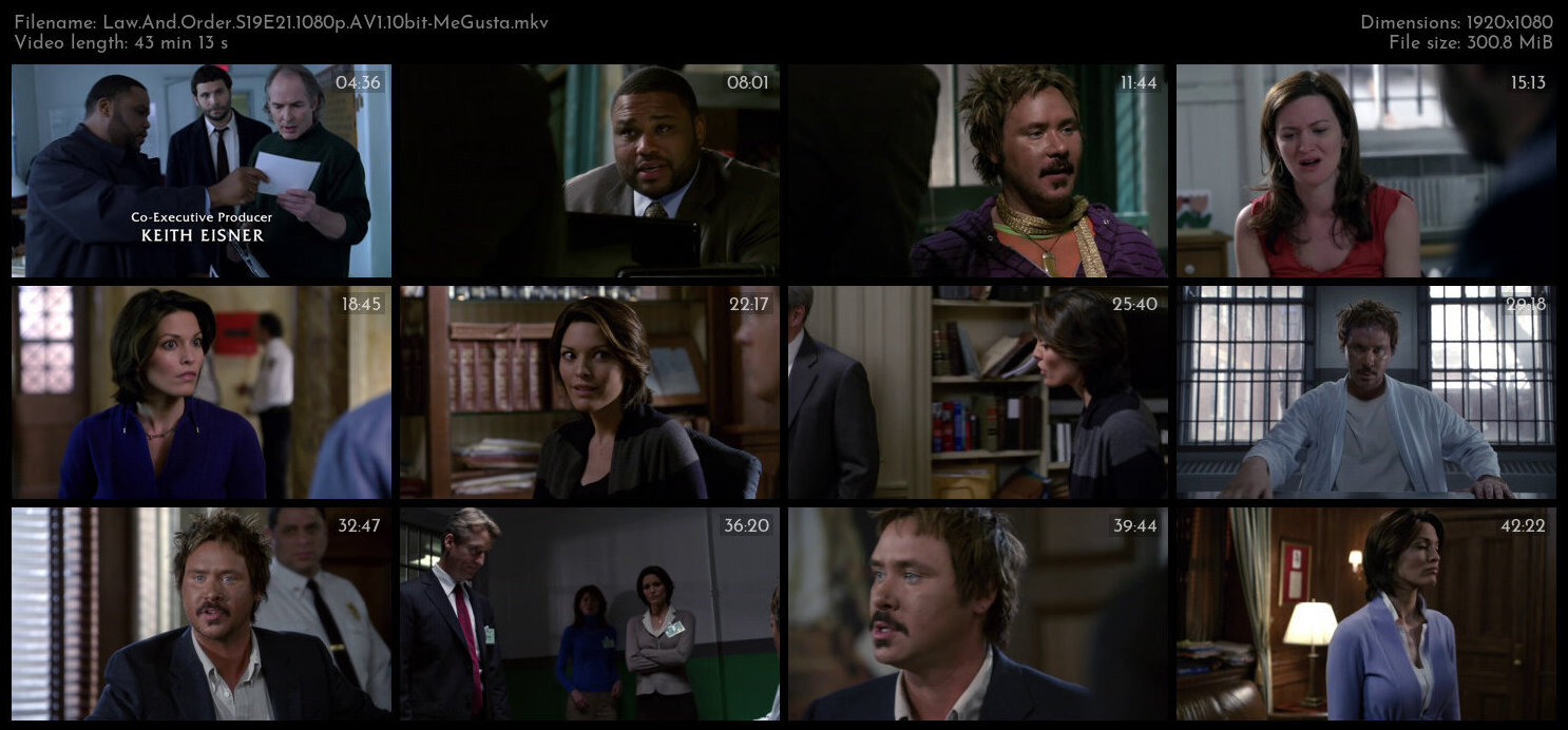 Law And Order S19E21 1080p AV1 10bit MeGusta TGx