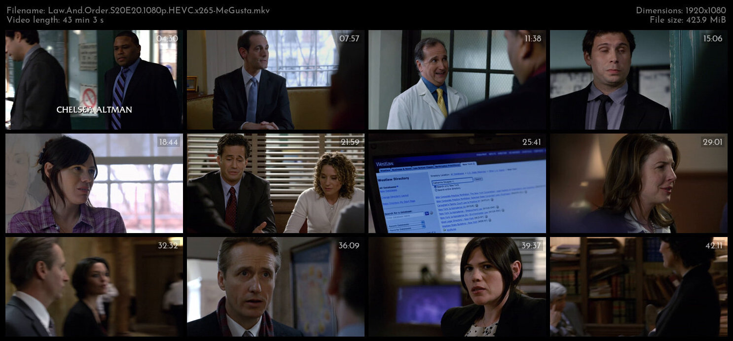 Law And Order S20E20 1080p HEVC x265 MeGusta TGx