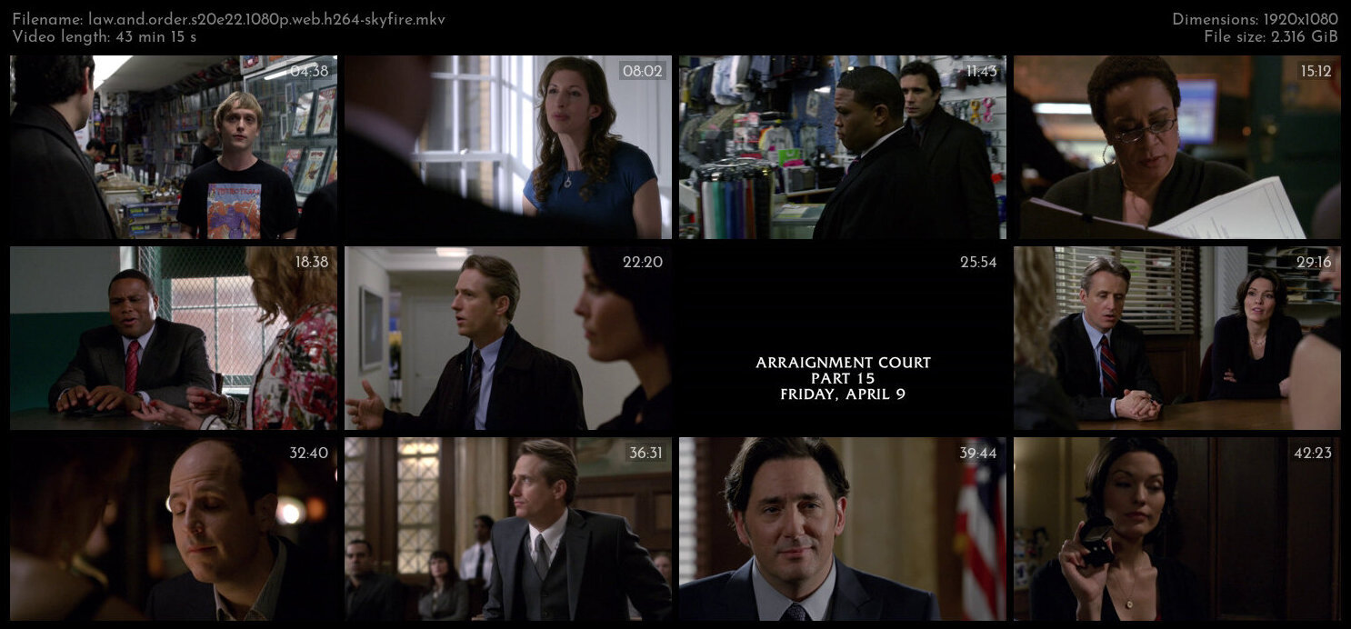 Law And Order S20E22 1080p WEB H264 SKYFiRE TGx