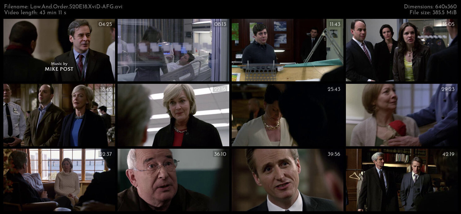 Law And Order S20E18 XviD AFG TGx