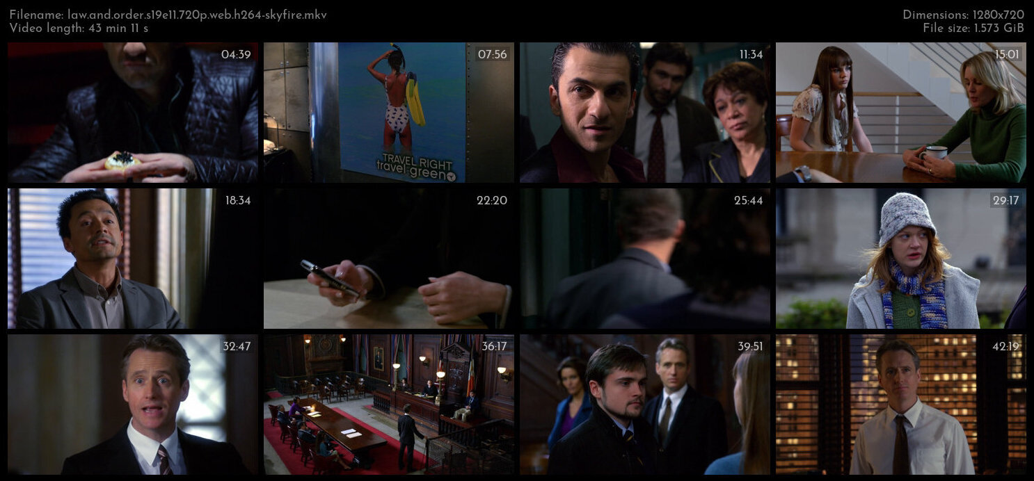 Law And Order S19E11 720p WEB H264 SKYFiRE TGx