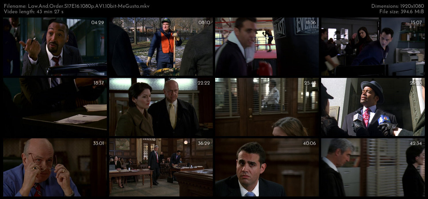 Law And Order S17E16 1080p AV1 10bit MeGusta TGx