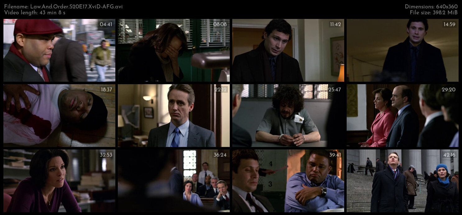 Law And Order S20E17 XviD AFG TGx