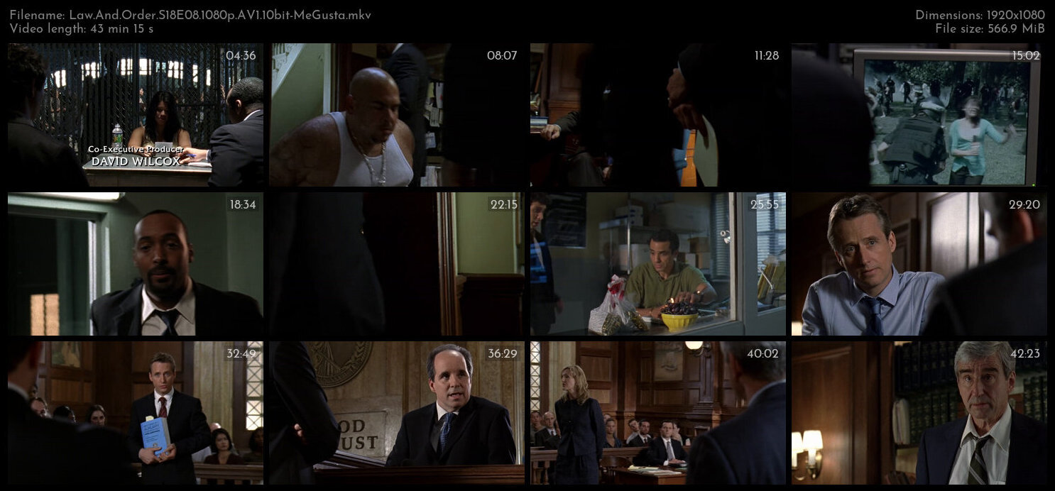 Law And Order S18E08 1080p AV1 10bit MeGusta TGx