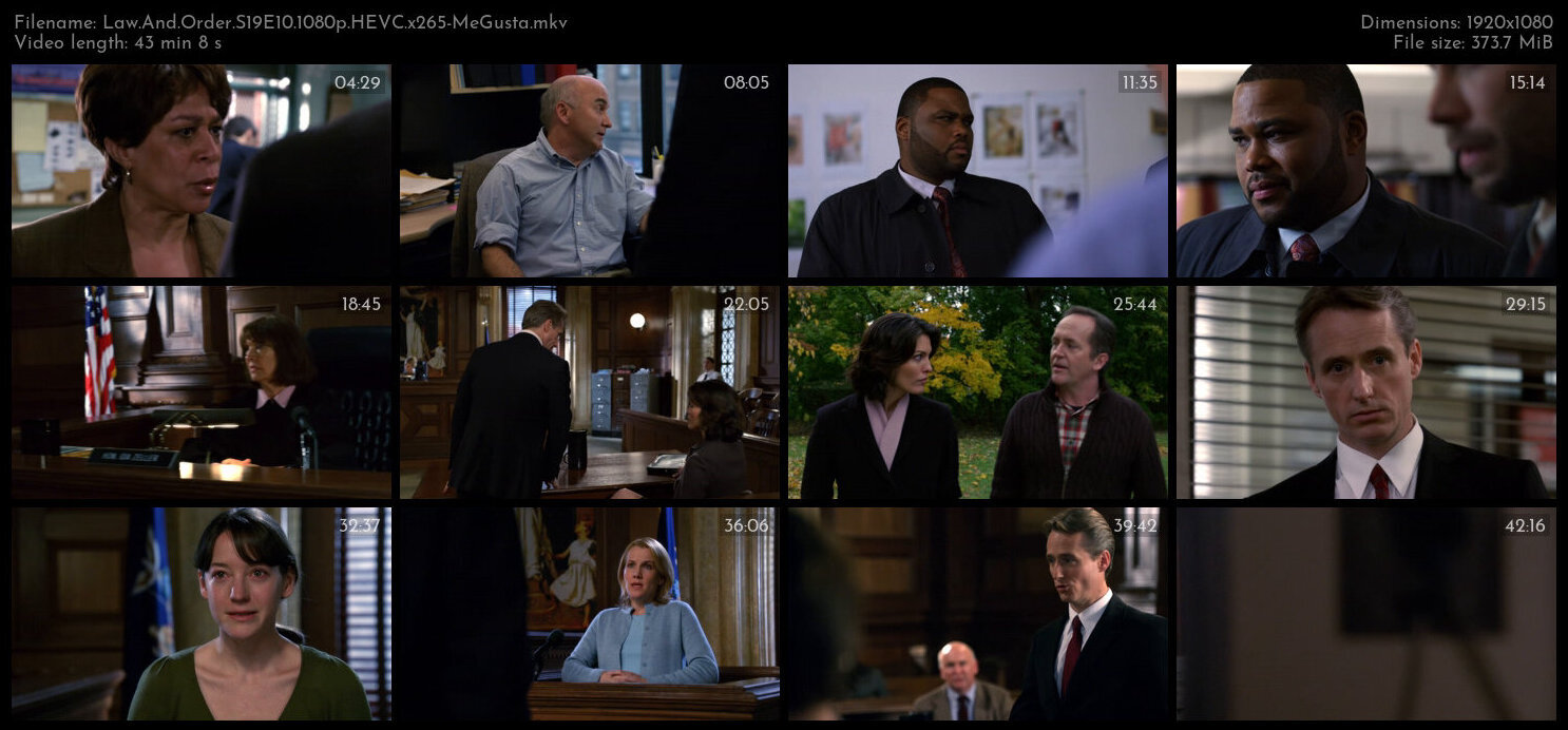 Law And Order S19E10 1080p HEVC x265 MeGusta TGx