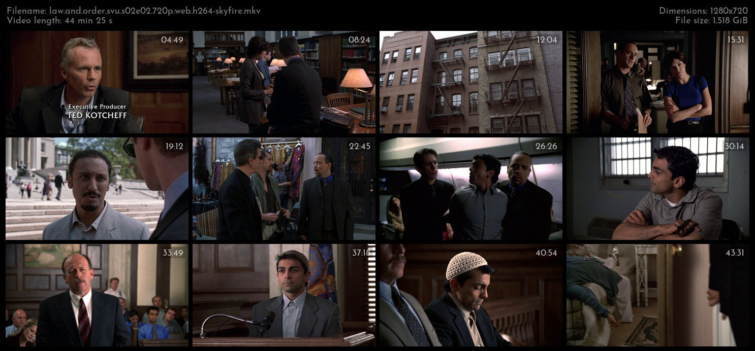 Law And Order SVU S02E02 720p WEB H264 SKYFiRE TGx