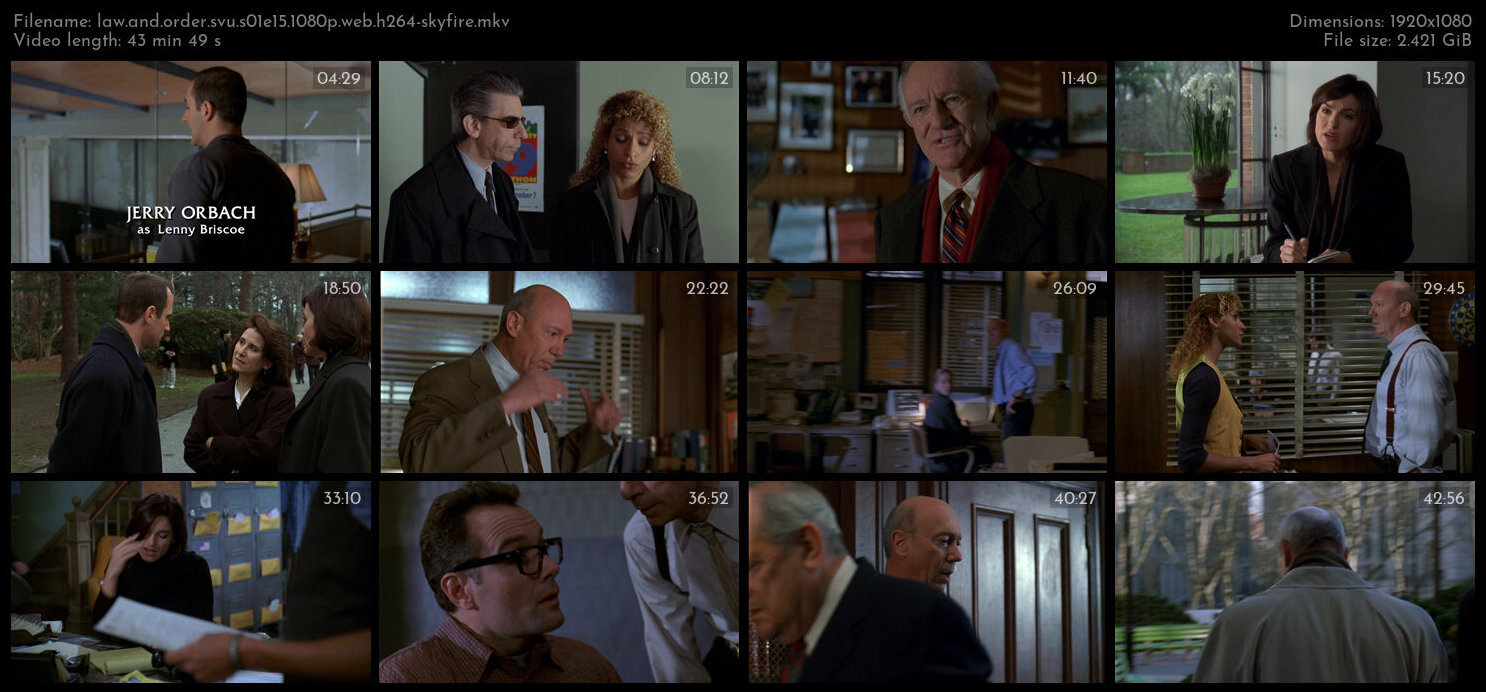 Law And Order SVU S01E15 1080p WEB H264 SKYFiRE TGx