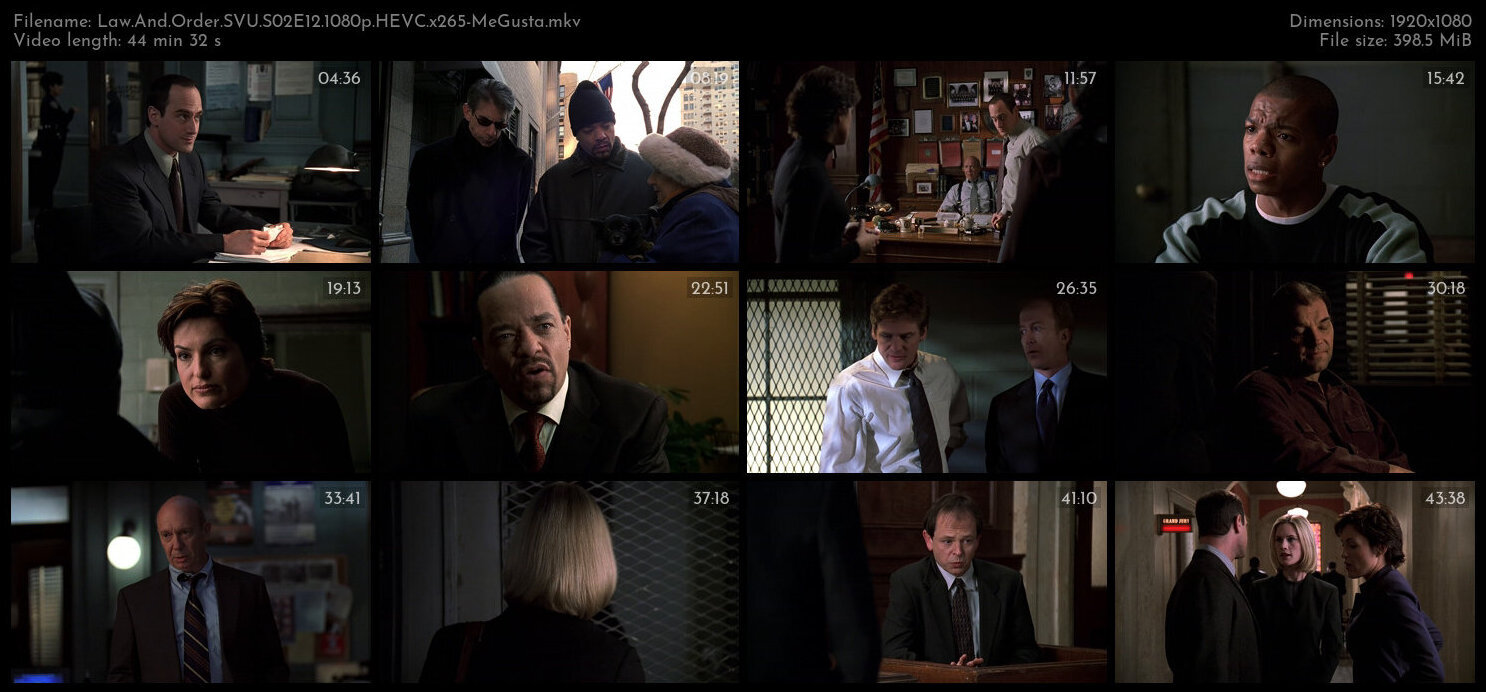 Law And Order SVU S02E12 1080p HEVC x265 MeGusta TGx