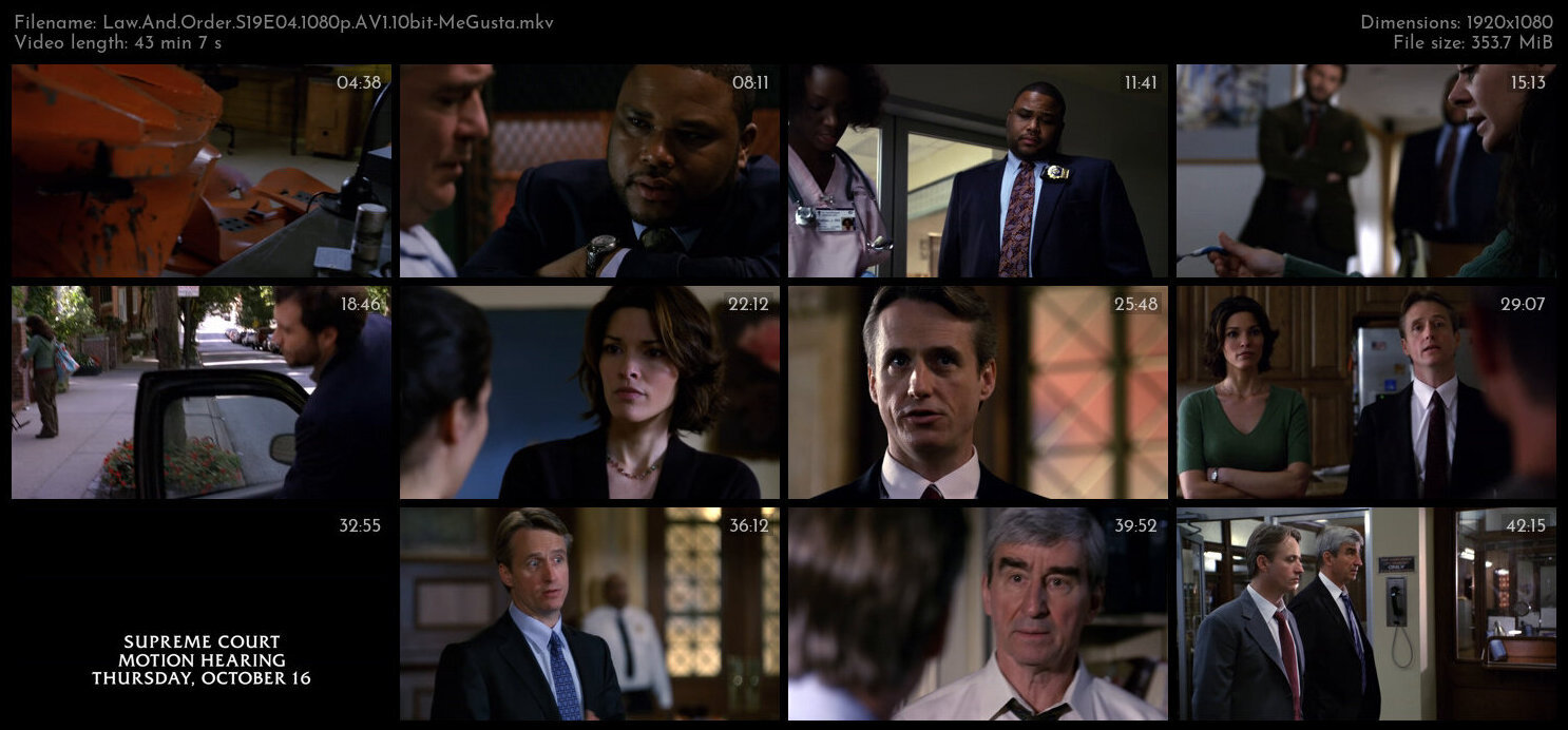 Law And Order S19E04 1080p AV1 10bit MeGusta TGx