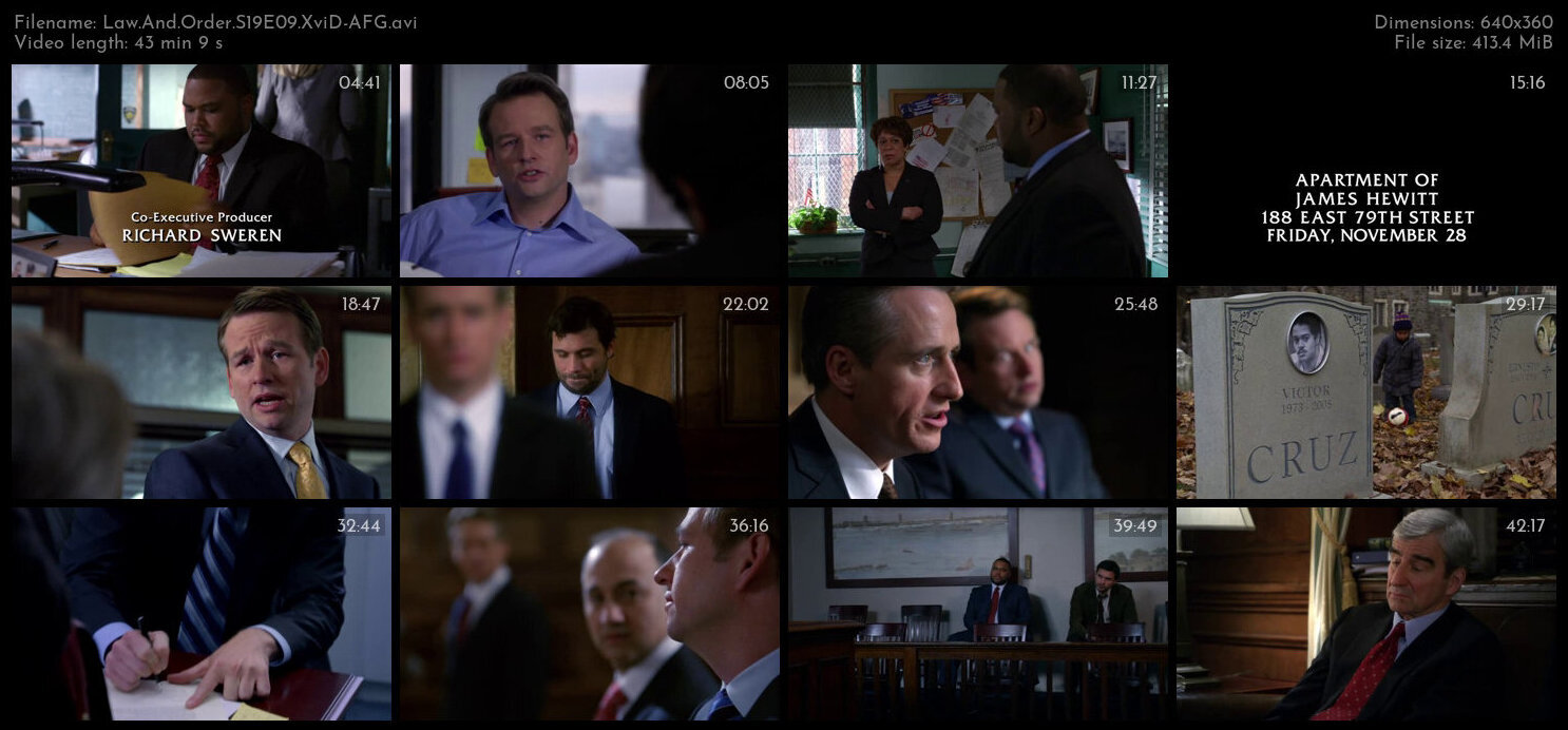 Law And Order S19E09 XviD AFG TGx