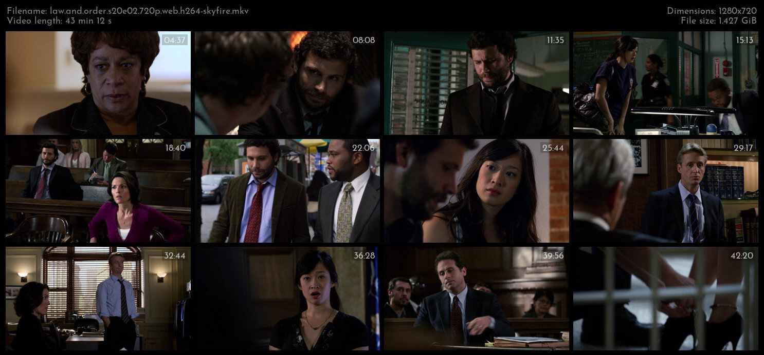 Law And Order S20E02 720p WEB H264 SKYFiRE TGx