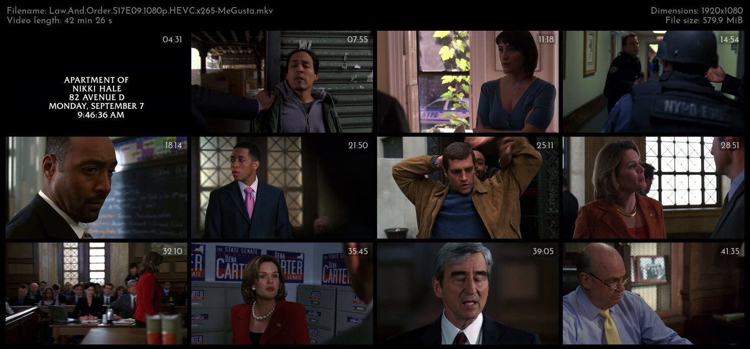 Law And Order S17E09 1080p HEVC x265 MeGusta TGx