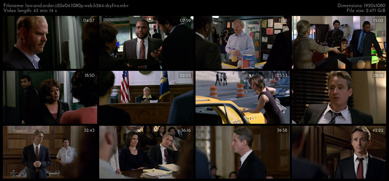 Law And Order S20E04 1080p WEB H264 SKYFiRE TGx