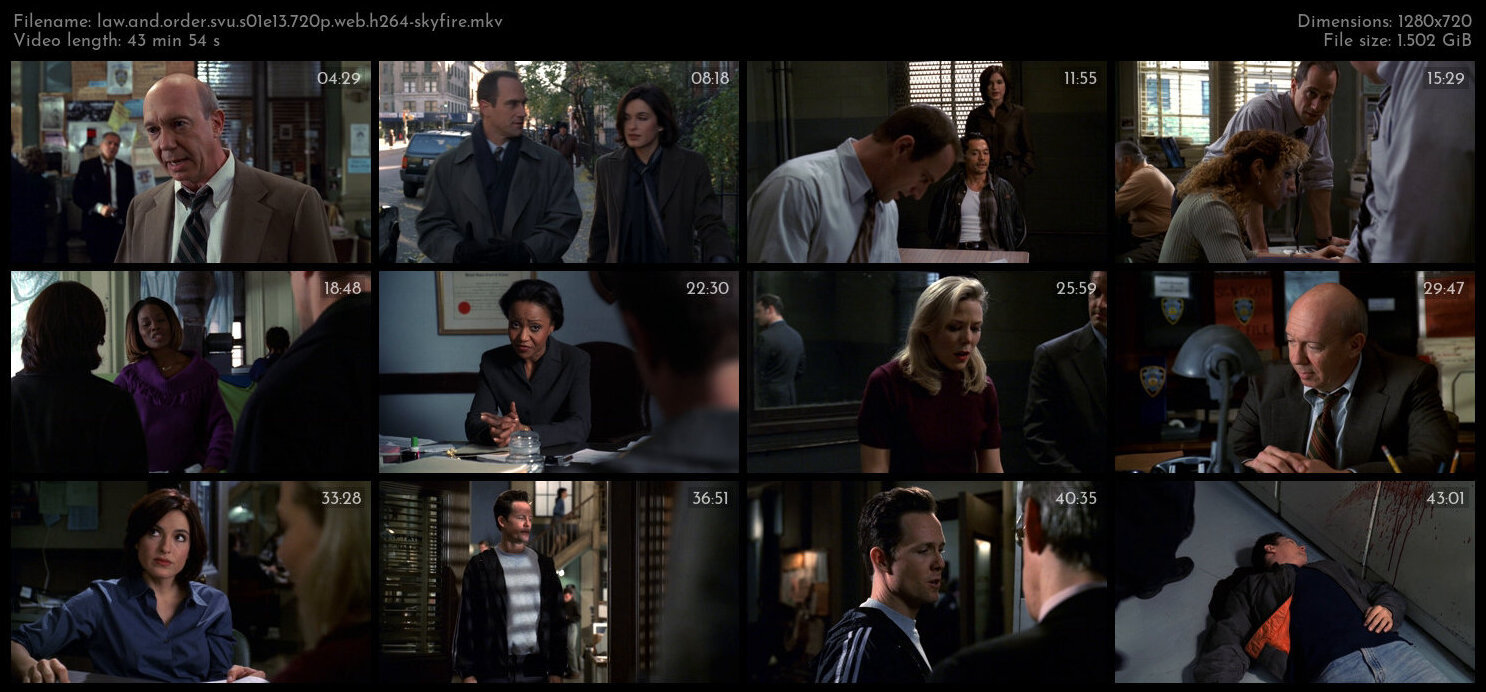 Law And Order SVU S01E13 720p WEB H264 SKYFiRE TGx