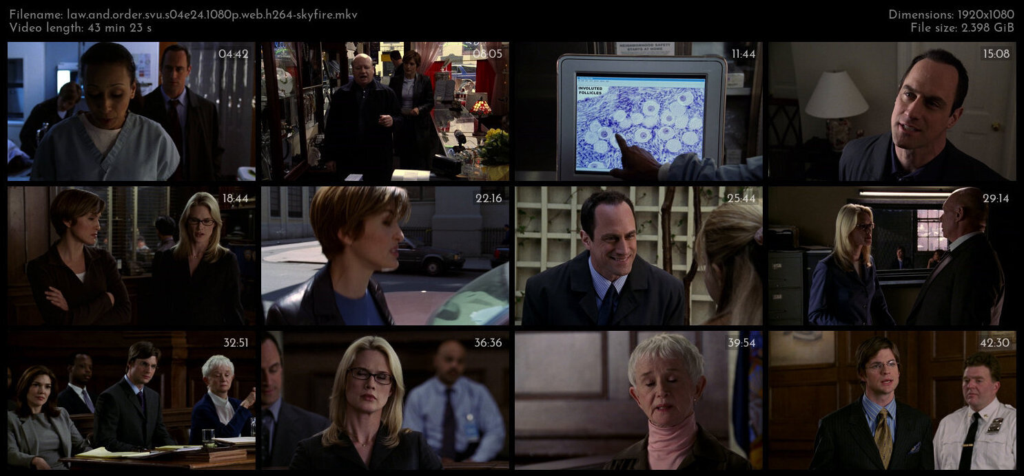 Law And Order SVU S04E24 1080p WEB H264 SKYFiRE TGx