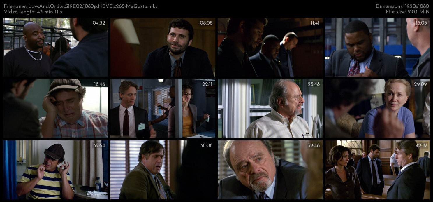 Law And Order S19E02 1080p HEVC x265 MeGusta TGx