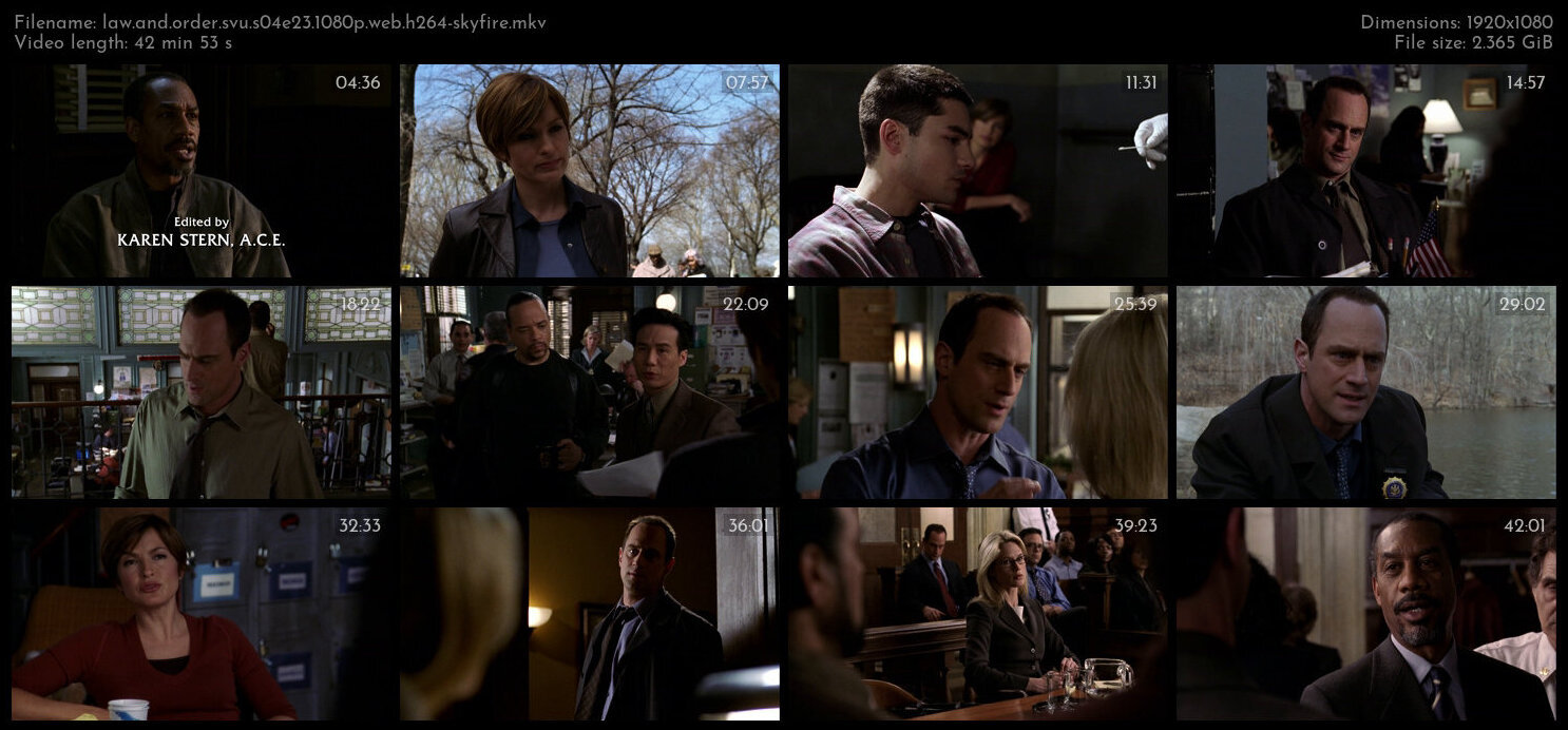 Law And Order SVU S04E23 1080p WEB H264 SKYFiRE TGx