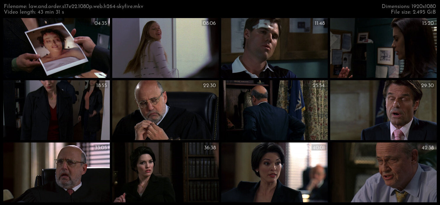 Law And Order S17E22 1080p WEB H264 SKYFiRE TGx