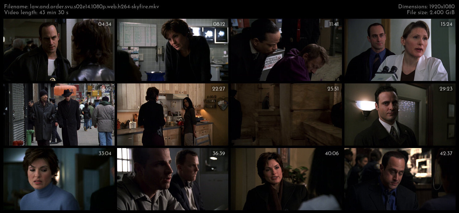 Law And Order SVU S02E14 1080p WEB H264 SKYFiRE TGx