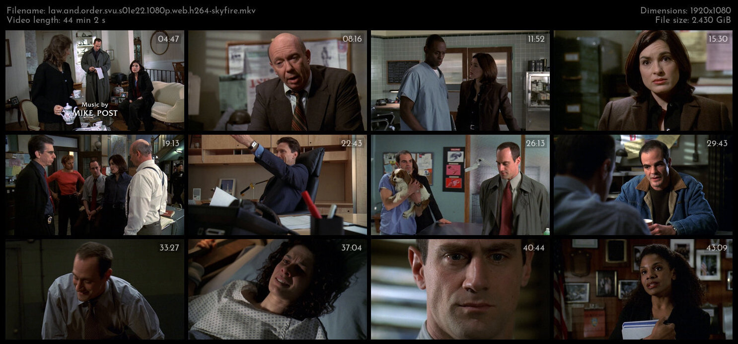 Law And Order SVU S01E22 1080p WEB H264 SKYFiRE TGx