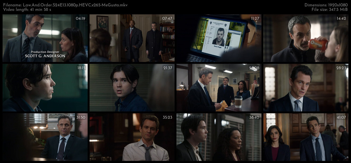 Law And Order S24E13 1080p HEVC x265 MeGusta TGx