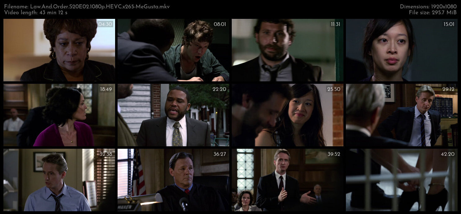 Law And Order S20E02 1080p HEVC x265 MeGusta TGx