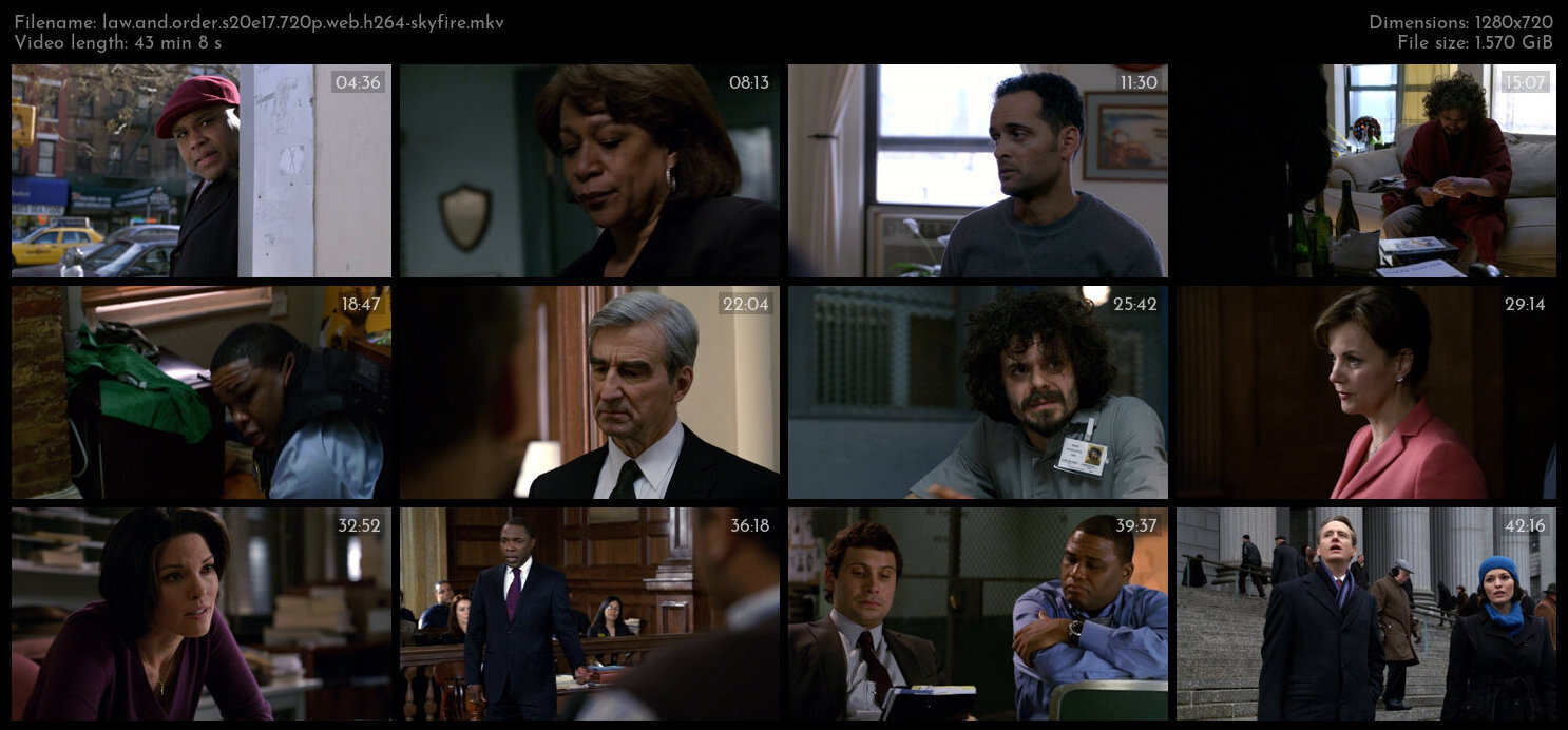 Law And Order S20E17 720p WEB H264 SKYFiRE TGx