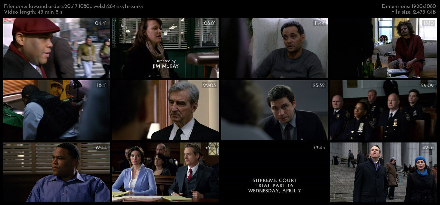 Law And Order S20E17 1080p WEB H264 SKYFiRE TGx