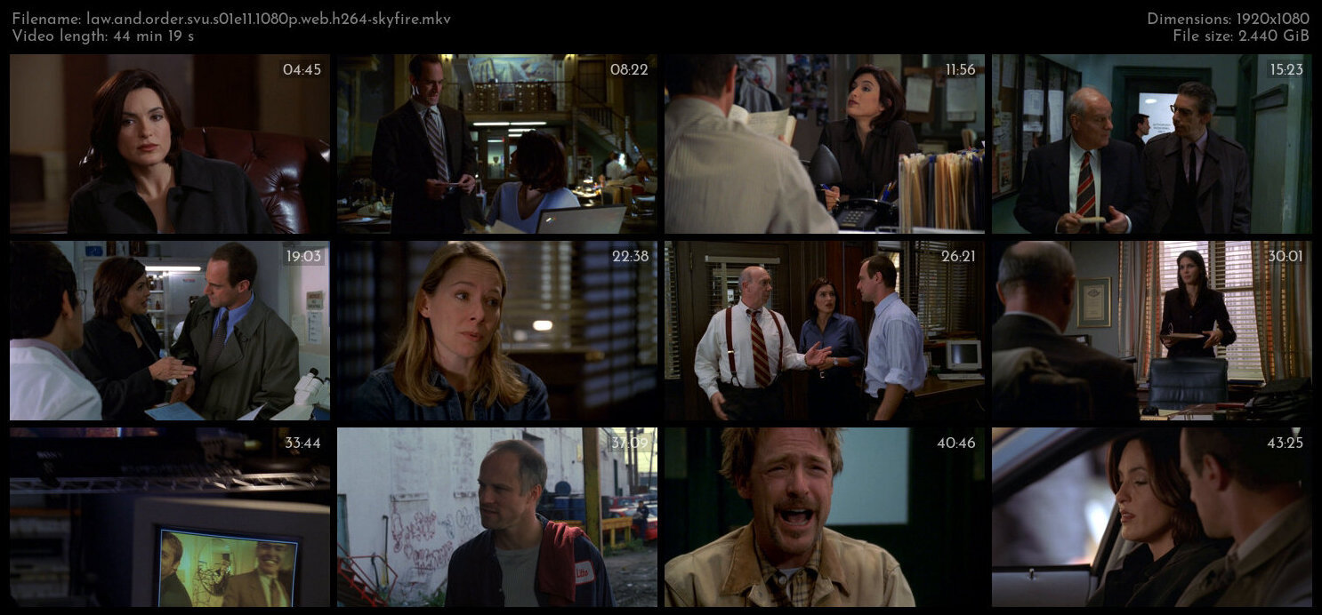 Law And Order SVU S01E11 1080p WEB H264 SKYFiRE TGx