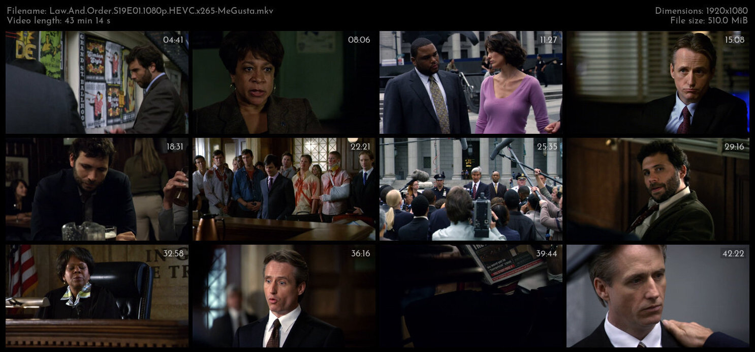 Law And Order S19E01 1080p HEVC x265 MeGusta TGx