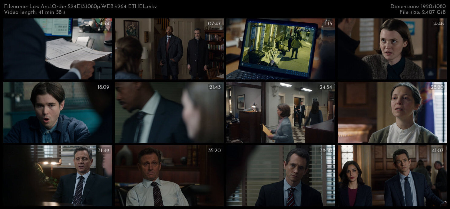 Law And Order S24E13 1080p WEB h264 ETHEL TGx