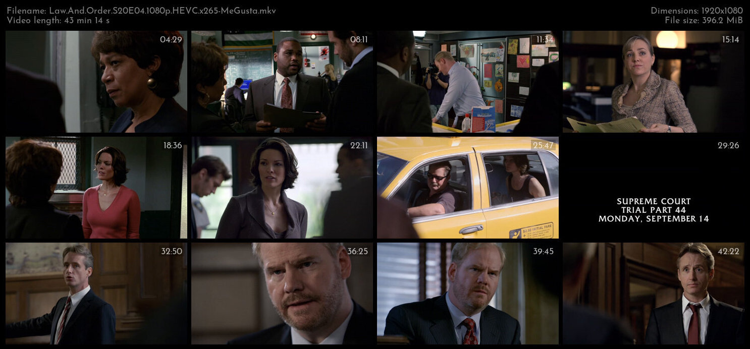 Law And Order S20E04 1080p HEVC x265 MeGusta TGx