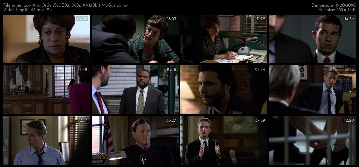 Law And Order S20E02 1080p AV1 10bit MeGusta TGx