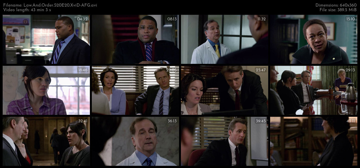 Law And Order S20E20 XviD AFG TGx