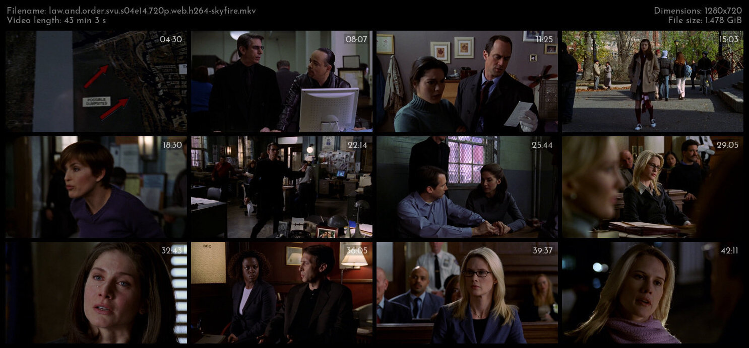 Law And Order SVU S04E14 720p WEB H264 SKYFiRE TGx