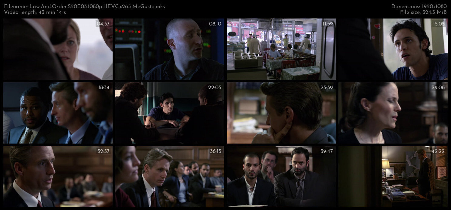 Law And Order S20E03 1080p HEVC x265 MeGusta TGx