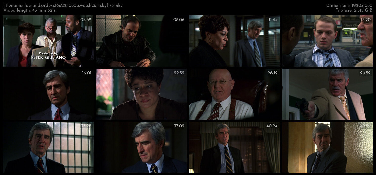 Law And Order S16E22 1080p WEB H264 SKYFiRE TGx