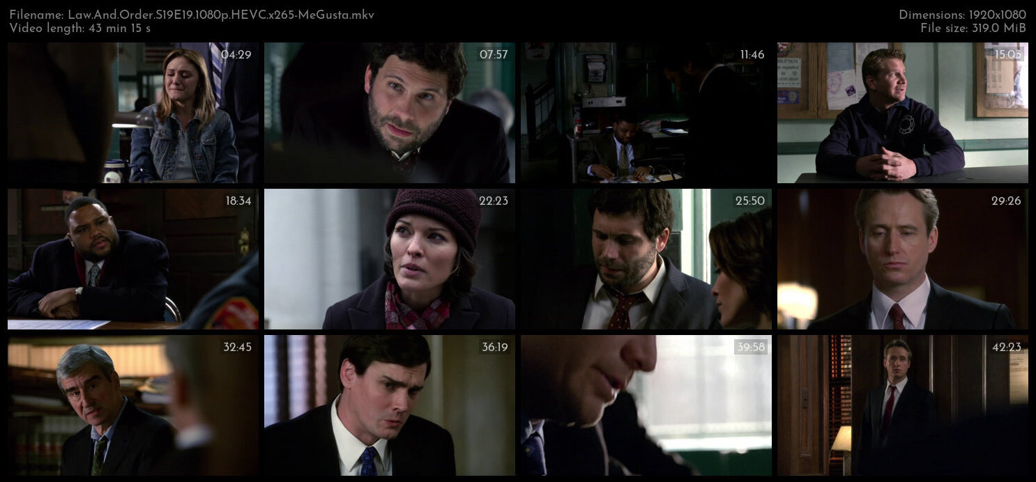 Law And Order S19E19 1080p HEVC x265 MeGusta TGx