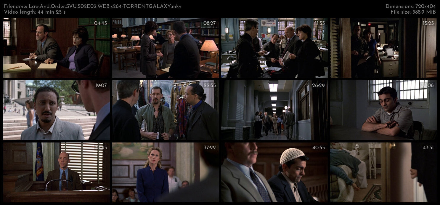 Law And Order SVU S02E02 WEB x264 TORRENTGALAXY