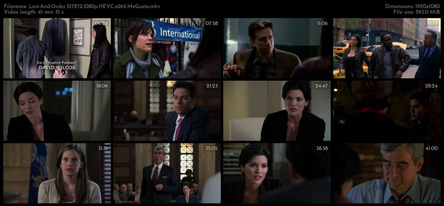 Law And Order S17E12 1080p HEVC x265 MeGusta TGx