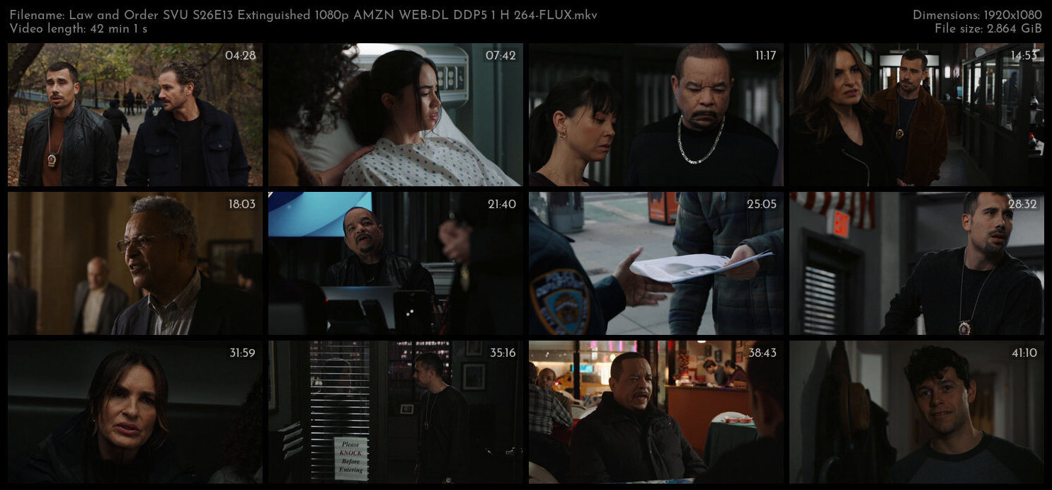 Law and Order SVU S26E13 Extinguished 1080p AMZN WEB DL DDP5 1 H 264 FLUX TGx