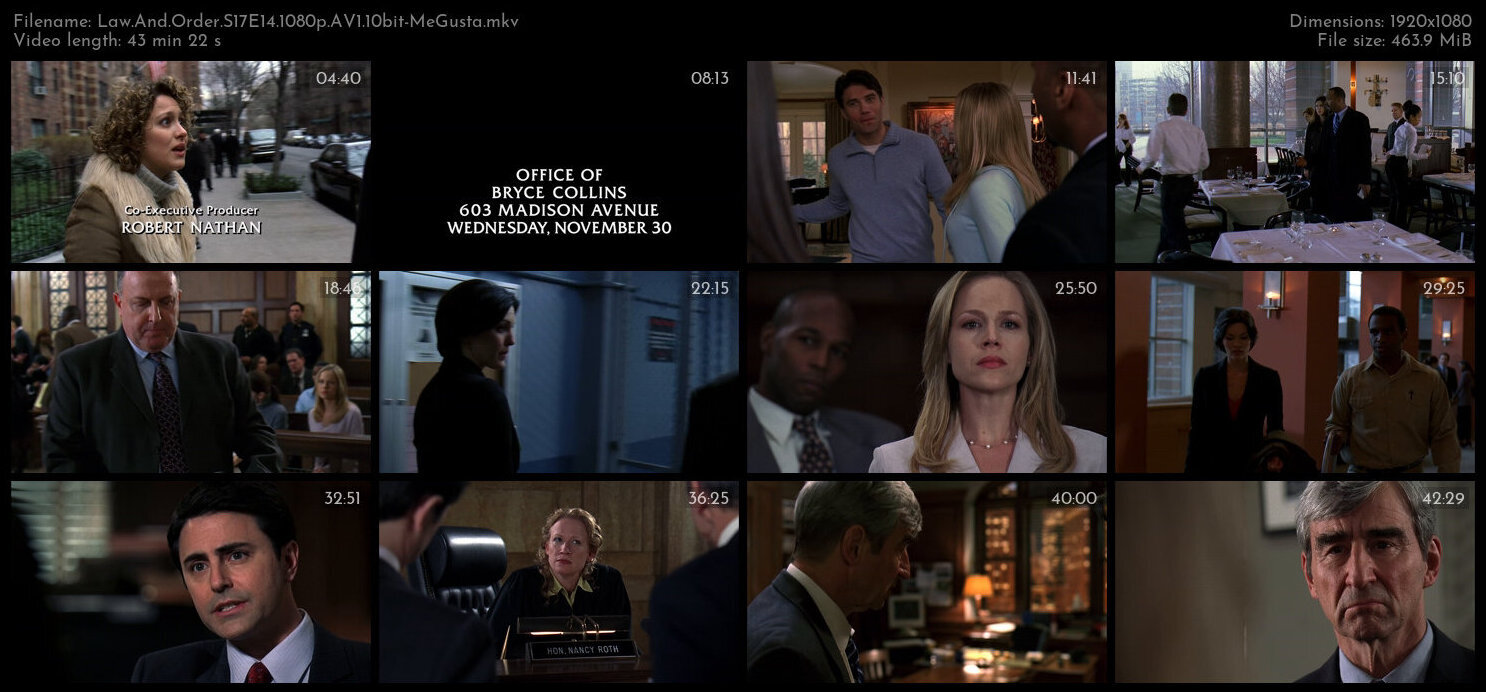 Law And Order S17E14 1080p AV1 10bit MeGusta TGx